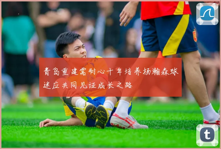 青岛重建需耐心十年培养杨瀚森球迷应共同见证成长之路